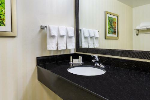 Hotel Courtyard By Marriott Buffalo Airport