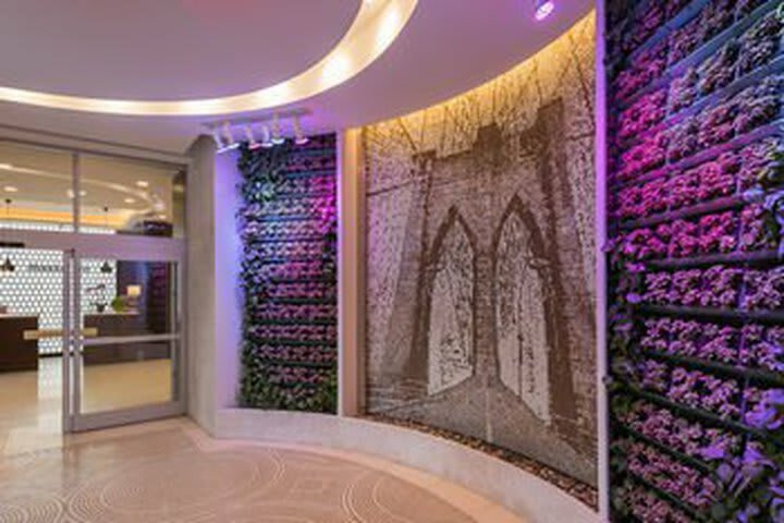 Hotel Holiday Inn Brooklyn Downtown