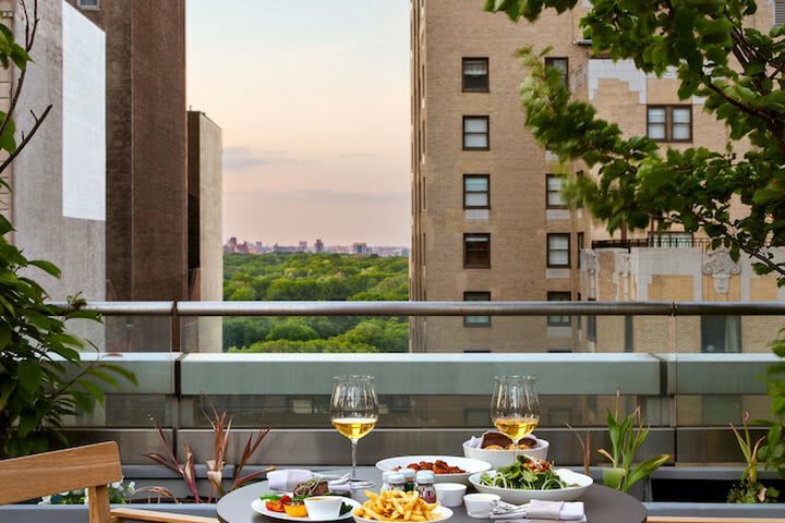 Hotel Park Hyatt New York