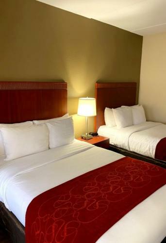 Hotel Comfort Suites - Asheville