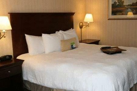Hotel Hampton Inn Rocky Mount
