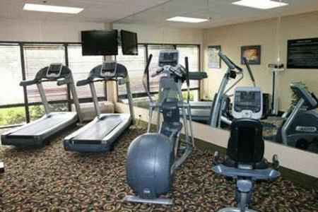 Hotel Hampton Inn Rocky Mount