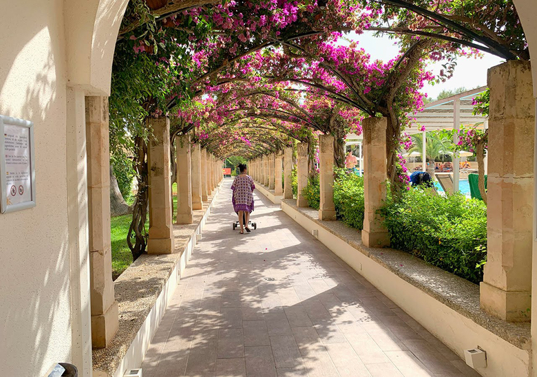 Hotel Rosella Afiliado By Intur