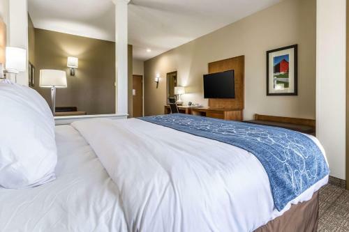 Hotel Comfort Suites Berlin