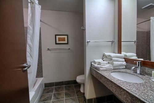 Hotel Comfort Suites Perrysburg