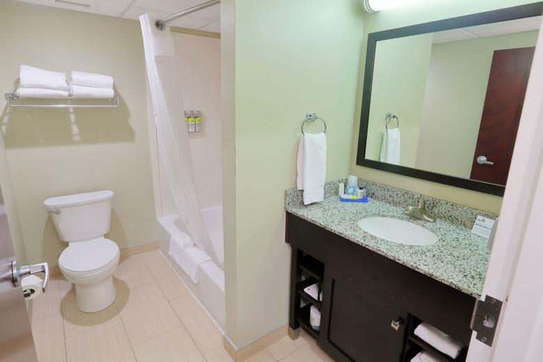 Hotel Holiday Inn Express Pittsburgh West - Greentree