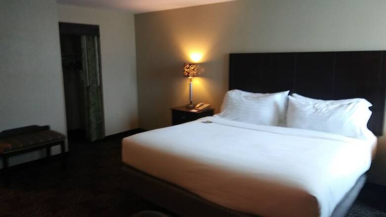 Hotel Holiday Inn Express Pittsburgh West - Greentree