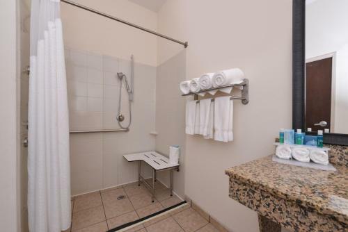 Hotel Holiday Inn Express & Suites Washington