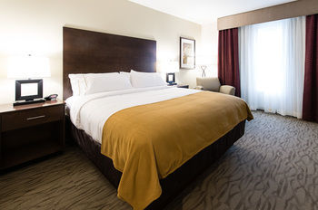 Hotel Holiday Inn Express & Suites Aiken