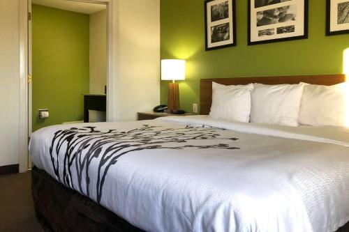 Hotel Sleep Inn Hardeeville