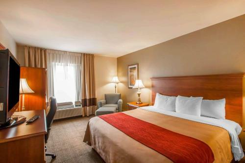 Hotel Quality Inn & Suites Memphis Germantown