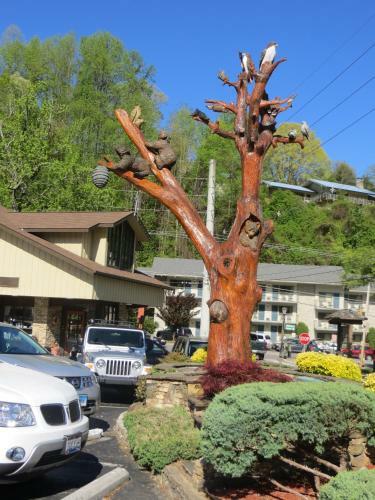 Motel Mountain House Inn Downtown