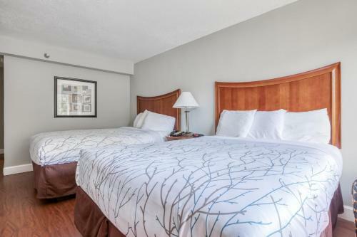Oyo Hotel Memphis Tn I-40