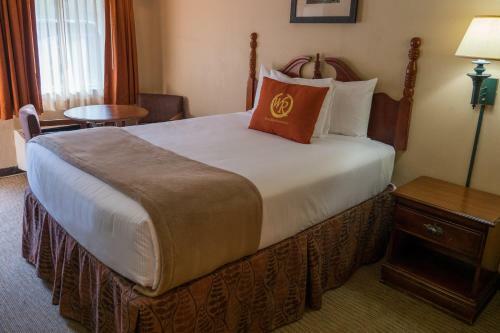 Motel Wild Bear Inn