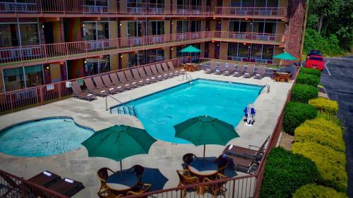 Motel Wild Bear Inn