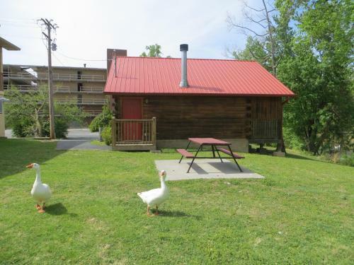 Motel River Place Inn & Cabins