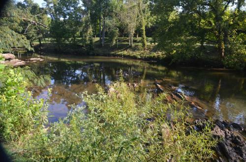 Motel River Place Inn & Cabins