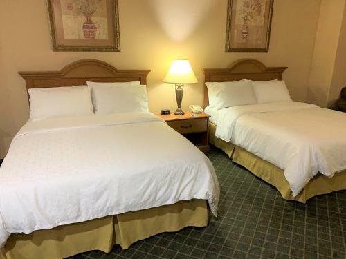 Holiday Inn Express Hotel And Suites Alice