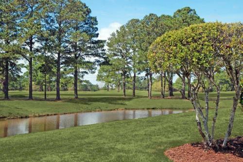 Apartamento Magnolia Pointe 203-4851