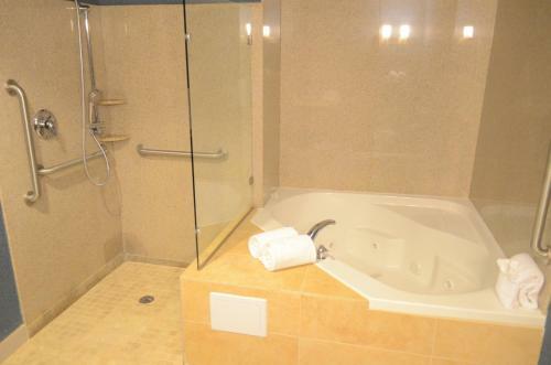 Hotel Holiday Inn Channelview