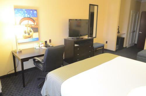 Hotel Holiday Inn Channelview