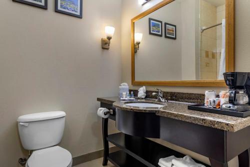 Hotel Comfort Suites Plano