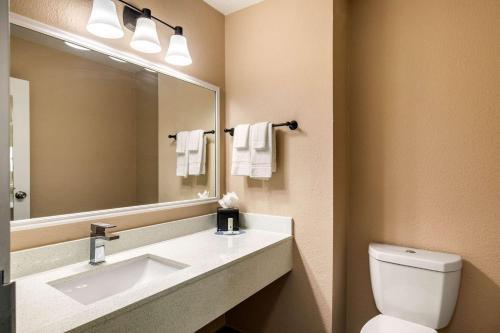 Hotel Quality Inn & Suites Plano