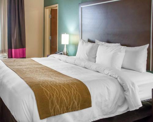 Hotel Comfort Inn San Marcos