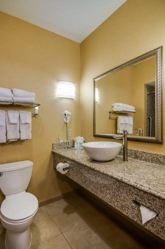Hotel Comfort Suites Spring
