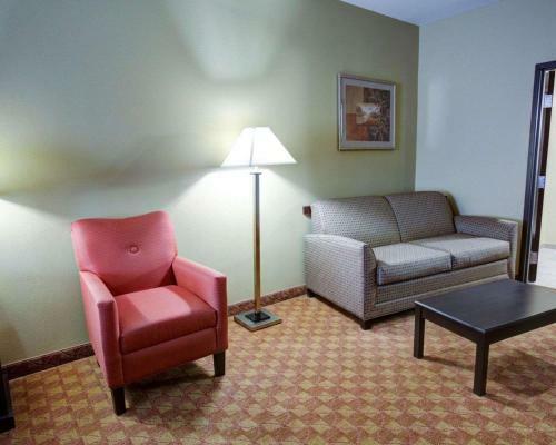 Hotel Comfort Suites Spring
