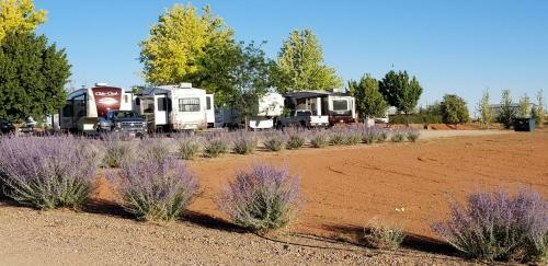 Blue Mountain Rv Park