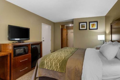 Hotel Comfort Inn Bristol