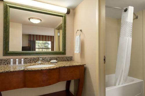 Hotel Hampton Inn & Suites Williamsburg-central