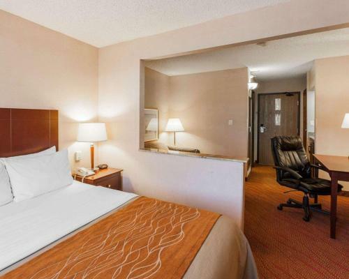 Hotel Comfort Inn Kelso
