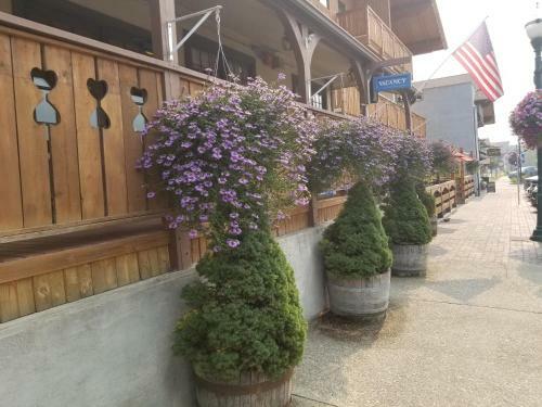 Hotel Mrs. Anderson's Lodging