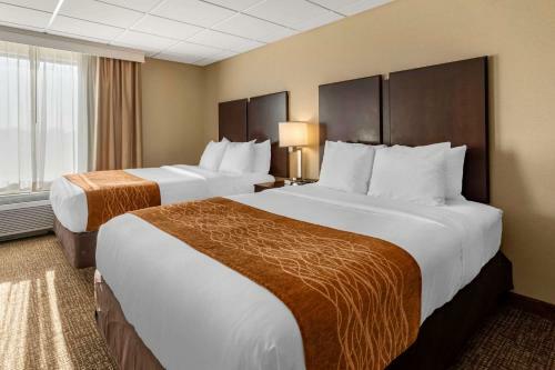 Hotel Comfort Inn & Suites