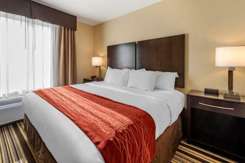 Hotel Comfort Inn & Suites