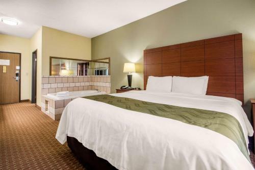 Hotel Quality Inn & Suites Wisconsin Dells