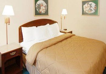 Hotel Comfort Inn