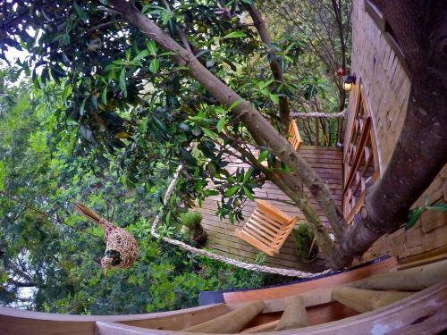 La Casa Del �rbol De Chilo�