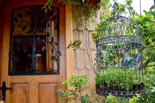 La Casa Del �rbol De Chilo�