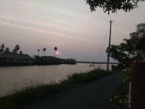 Backwater Breeze