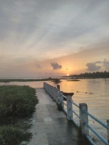 Backwater Breeze