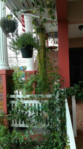 Bed & Breakfast Lampang Lanna Home