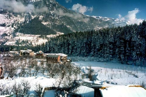 Hotel Manali Heights