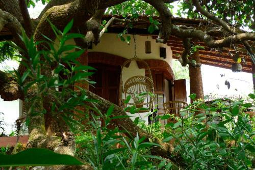 Hotel Jivana Resort