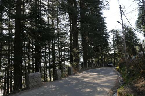 Bed & Breakfast Hotel Mountain Trail Manali