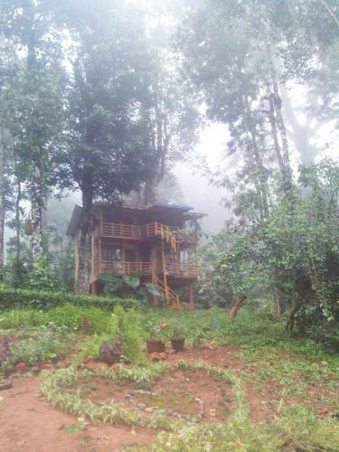 Bed & Breakfast Jungle Jive Tree House Munnar