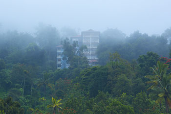 Hotel Spice Country Resort