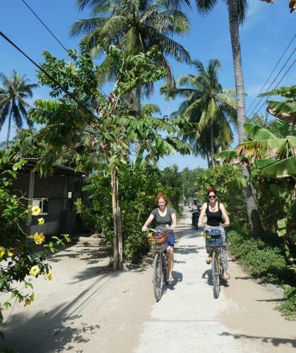 Hostal Thanh Ha Guesthouse